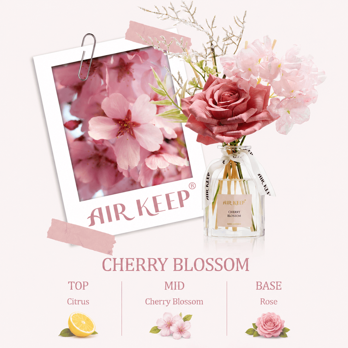 Airkeep Cherry Blossom Floral 120ml Reed Diffuser