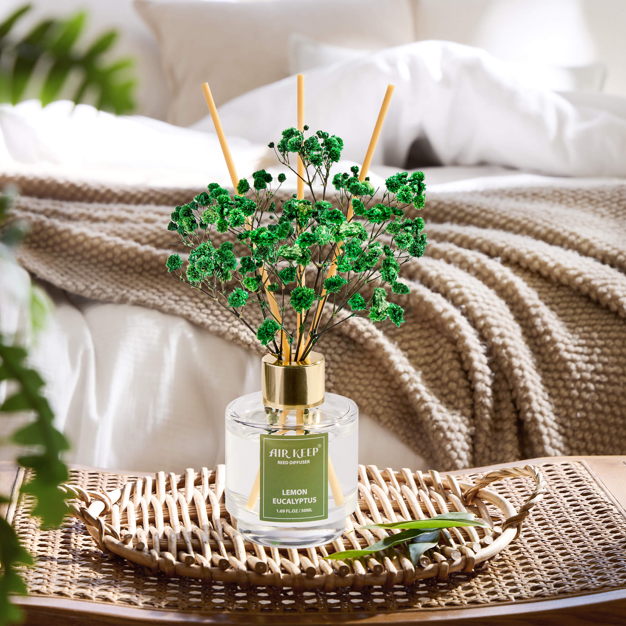 Airkeep Reed Diffuser Set of 3-CLC