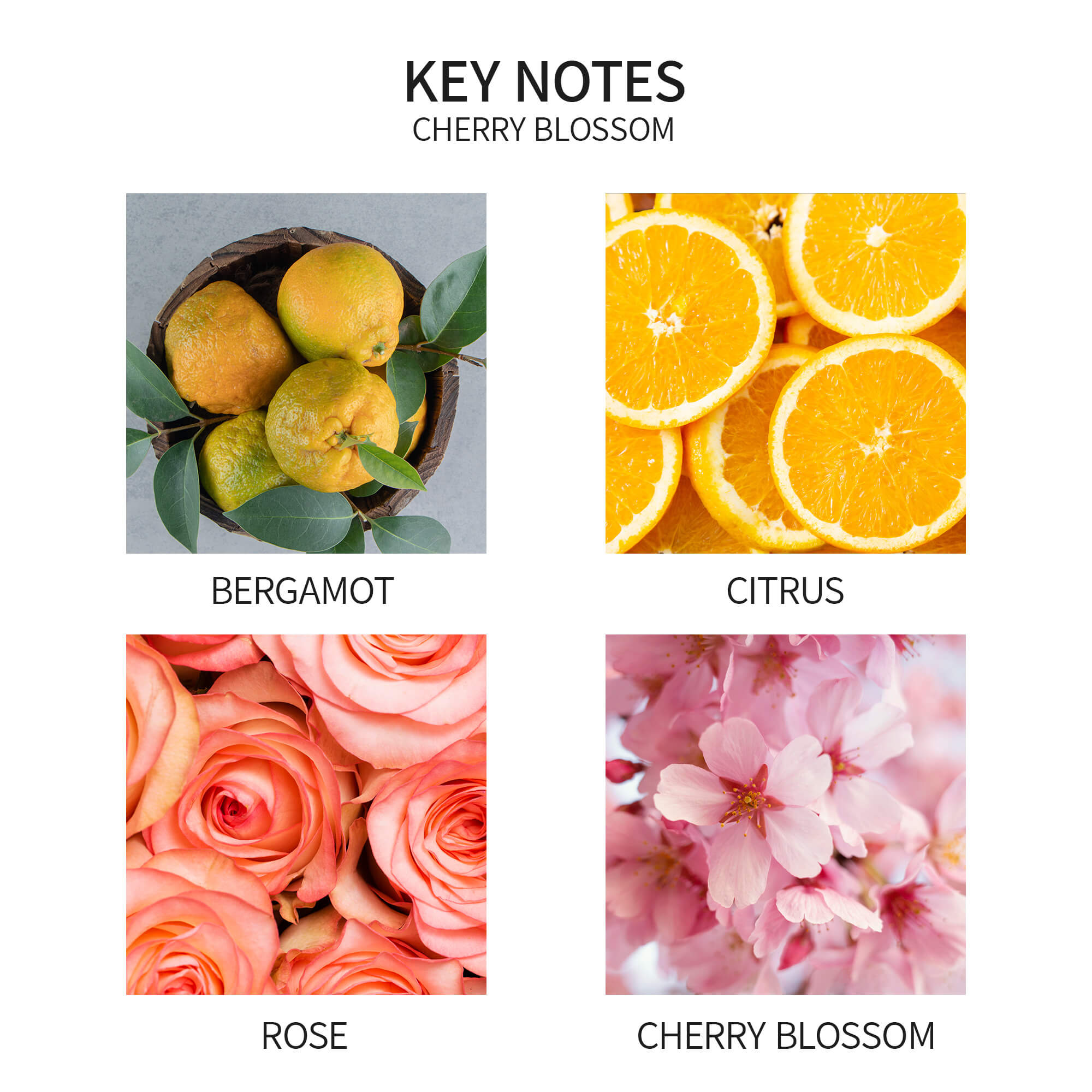 Airkeep Cherry Blossom Reed Diffuser Oil Refill with Diffuser Sticks