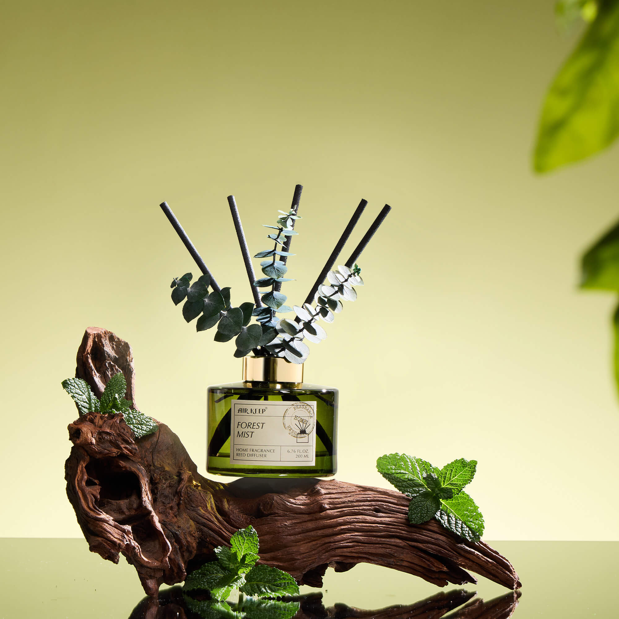 Airkeep Forest Mist Reed Diffuser Set