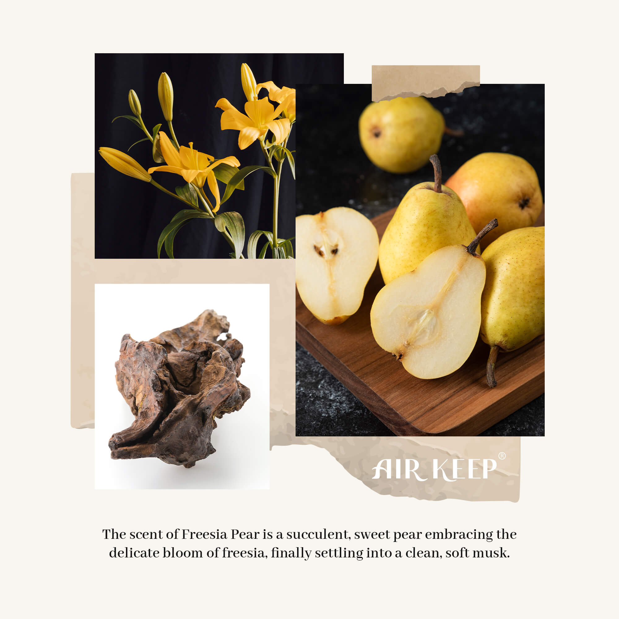 Airkeep Freesia Pear Reed Diffuser Set