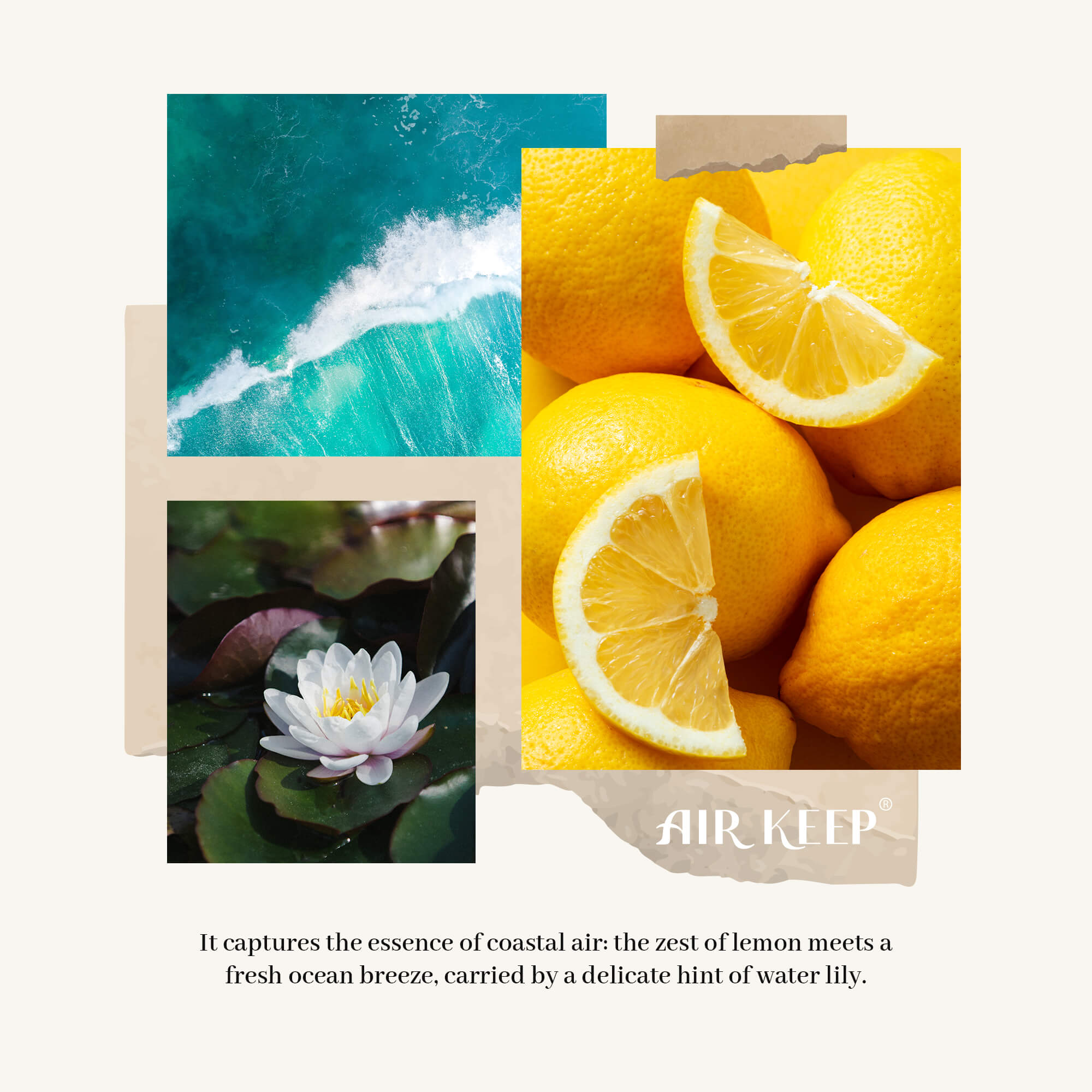 Airkeep Ocean Breeze Reed Diffuser Set