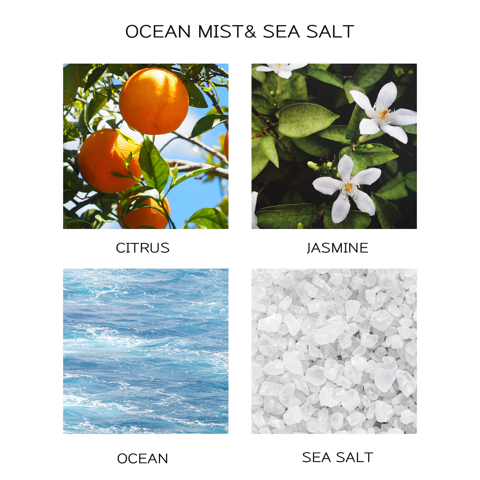 Airkeep Ocean Mist&Sea Salt Scented Oils Reed Diffuser Oil Refill with Diffuser Sticks
