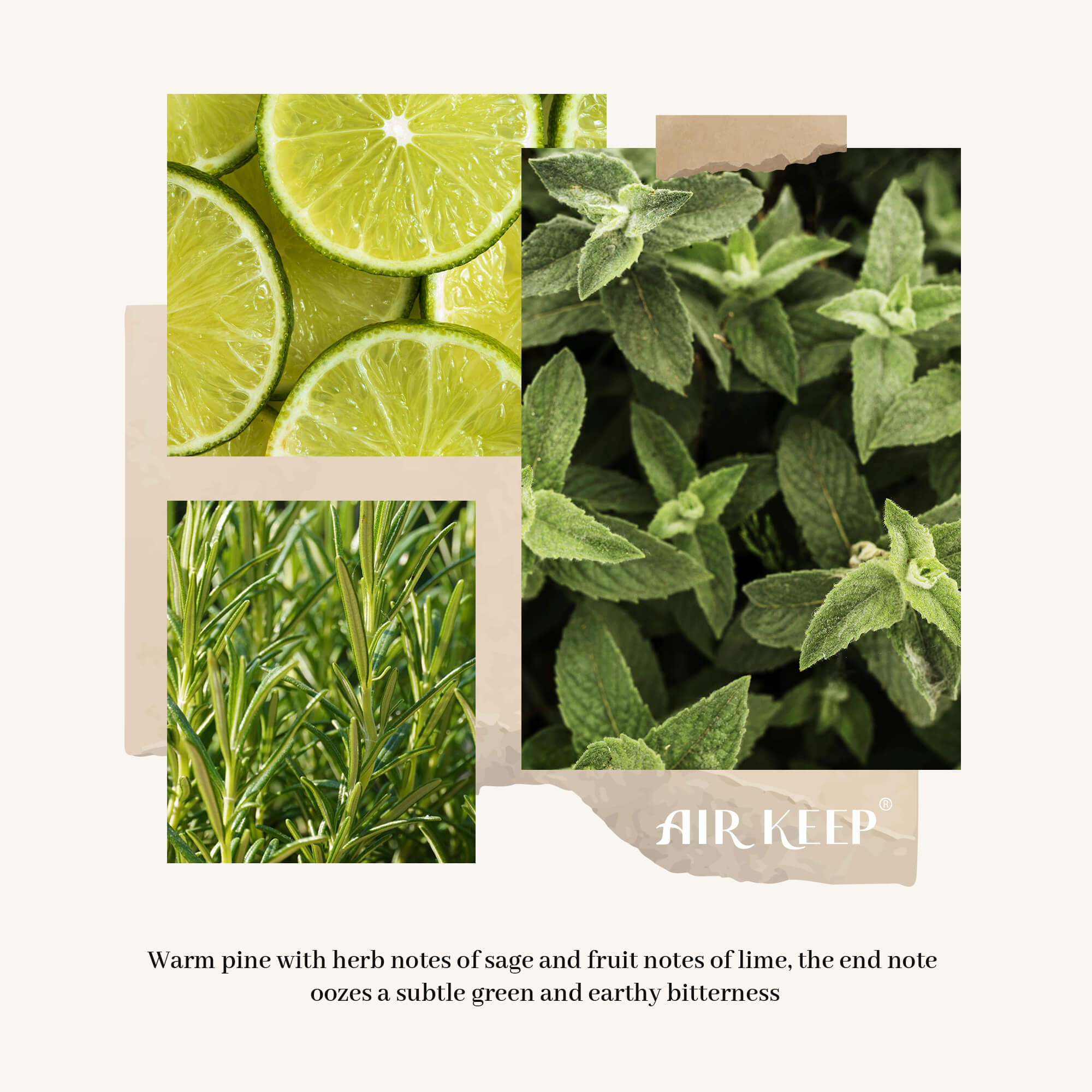 Airkeep Sage Reed Diffuser Set