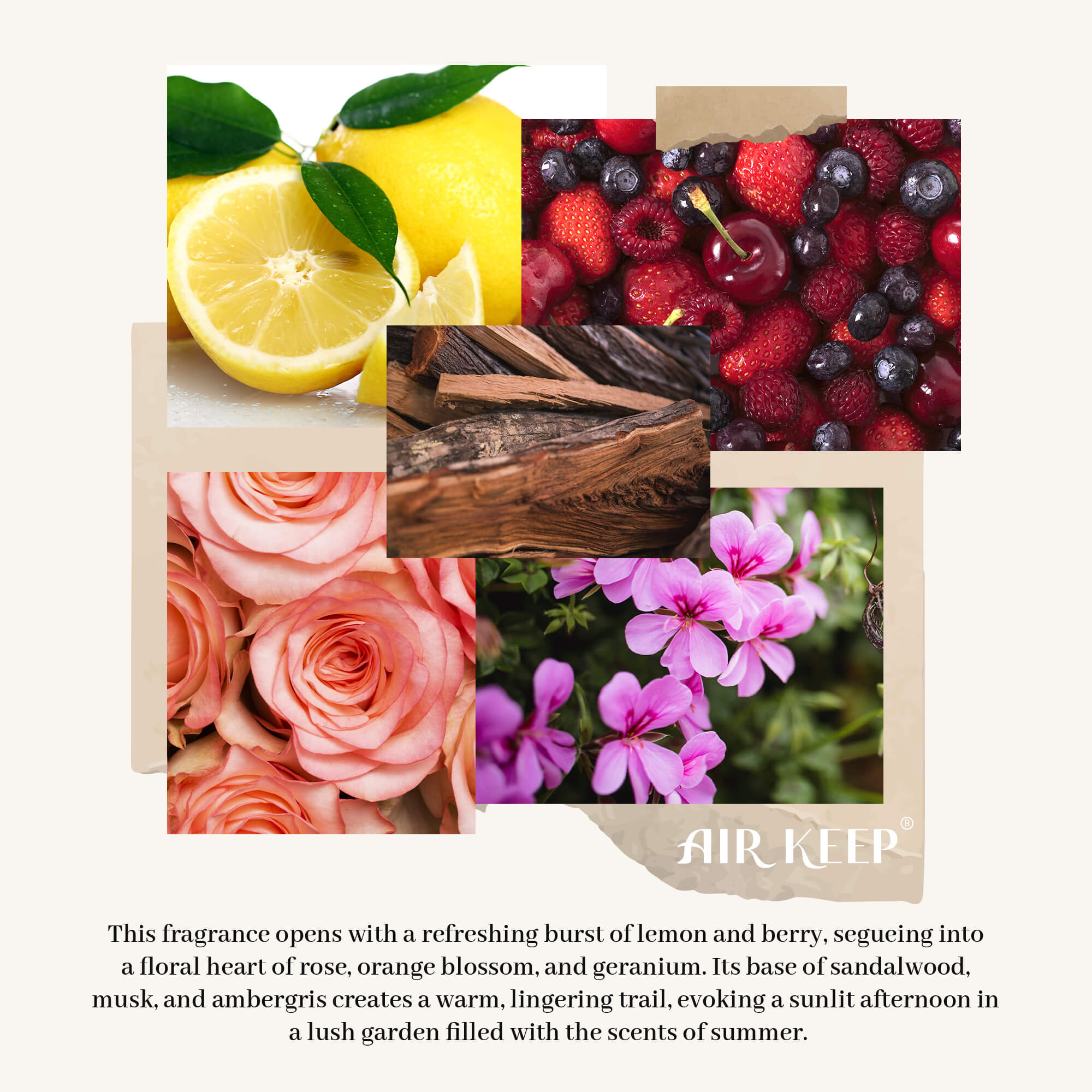 Airkeep Sandalwood Rose Reed Diffuser