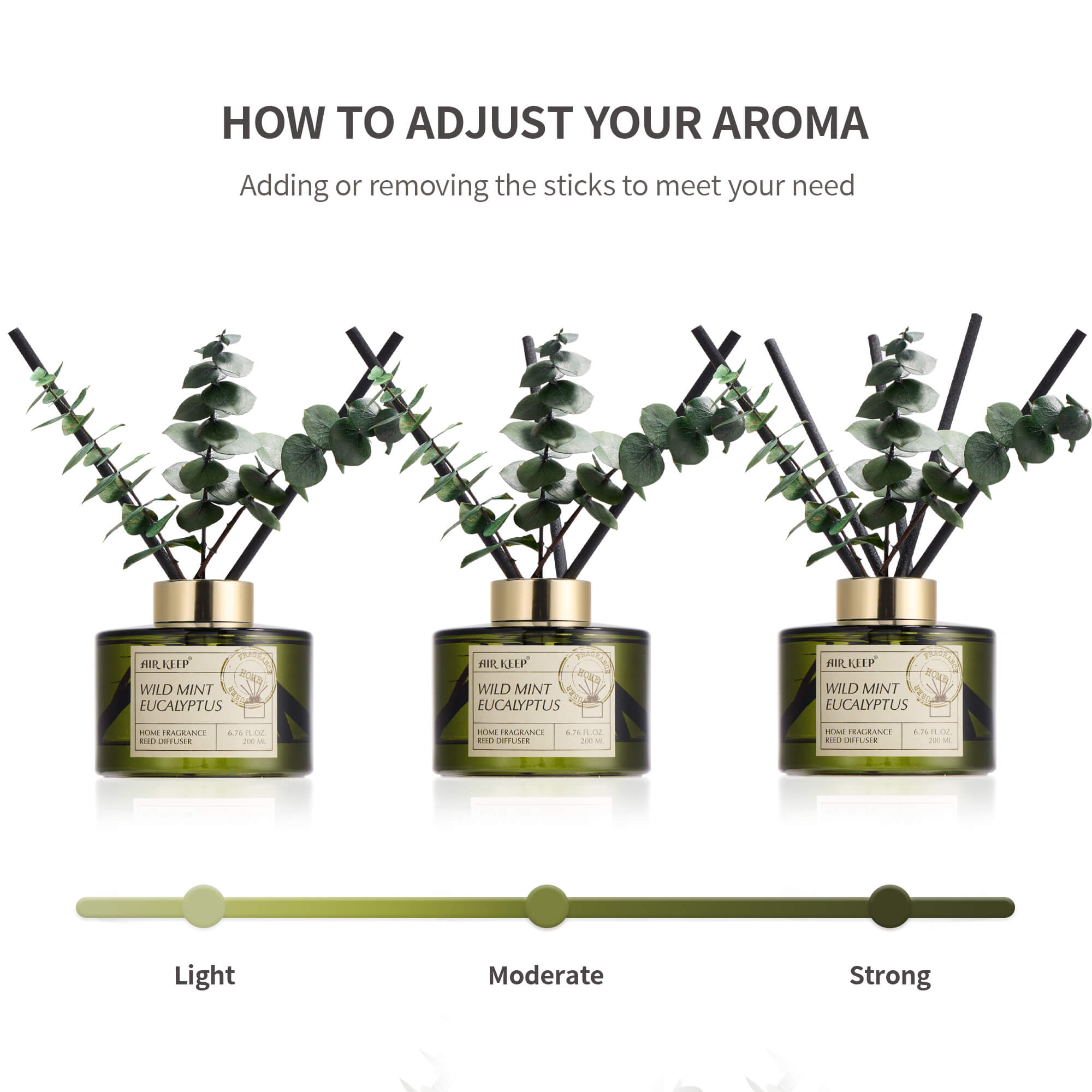 Airkeep Wild Mint & Eucalyptus Reed Diffuser Set