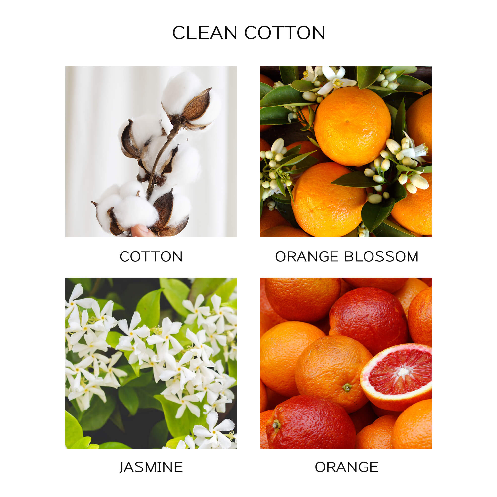 Airkeep Clean Cotton Reed Diffuser Oil Refill with Diffuser Sticks