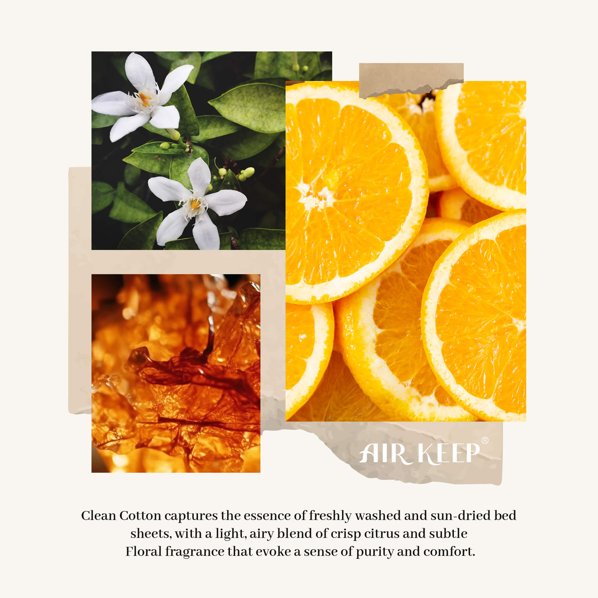 Airkeep Clean Cotton Reed Diffuser Set