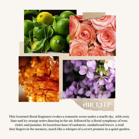 Airkeep Cashmere Vanilla Reed Diffuser Set 3.38 fl oz