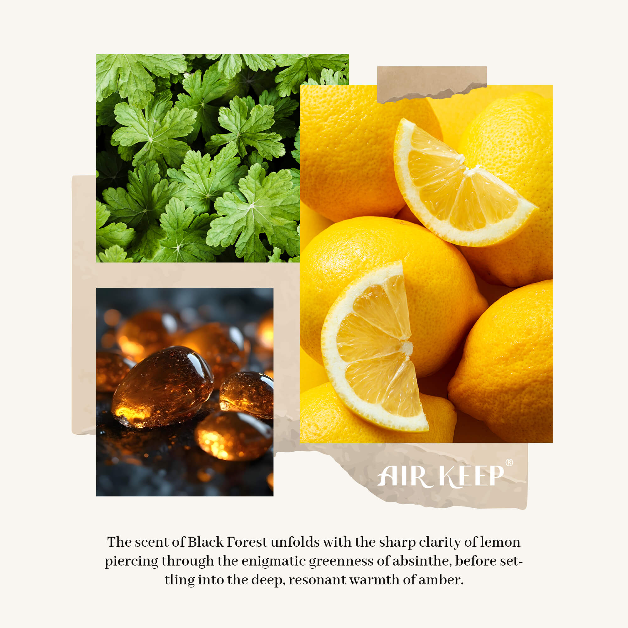 Airkeep Black Forest Reed Diffuser Set