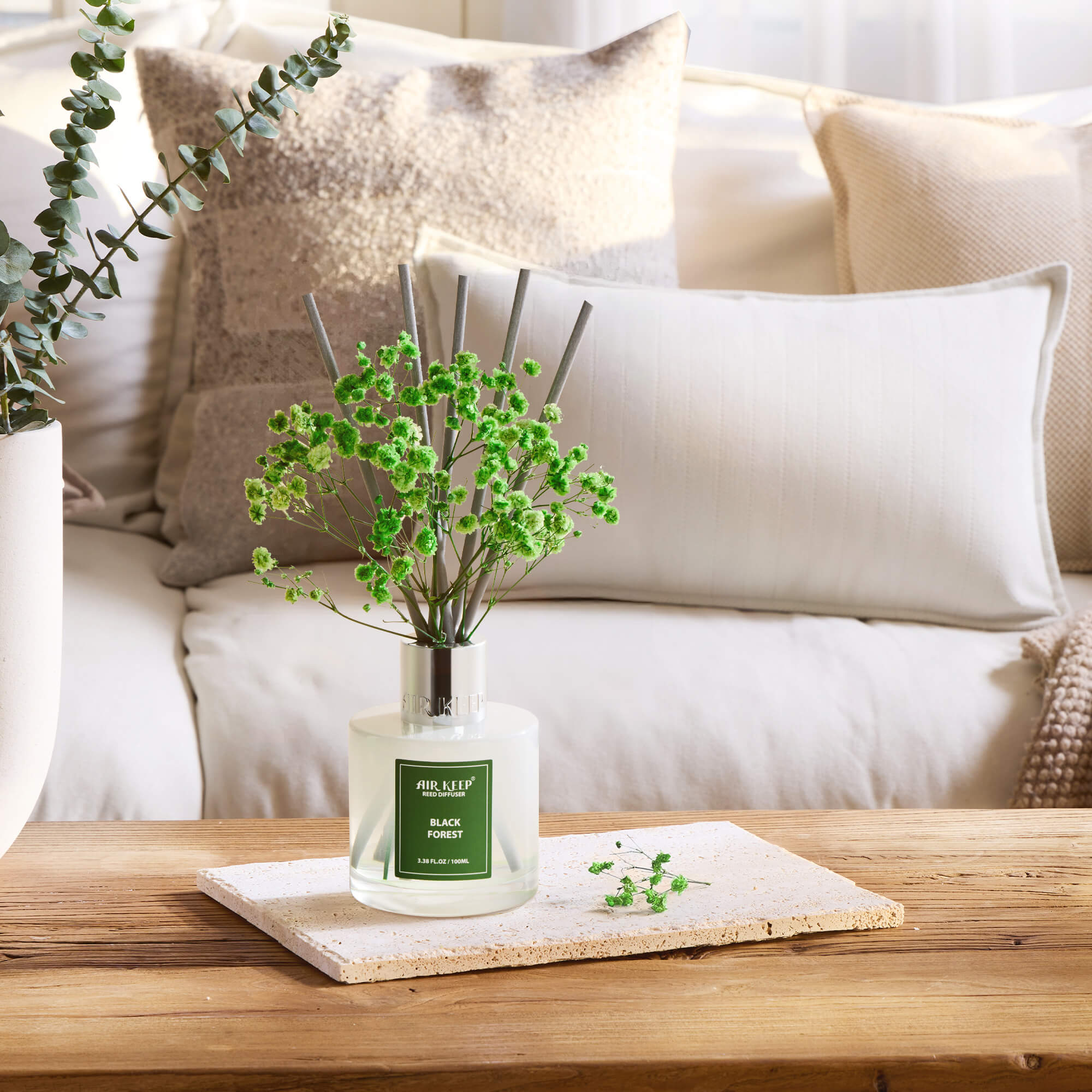 Airkeep Black Forest Reed Diffuser Set