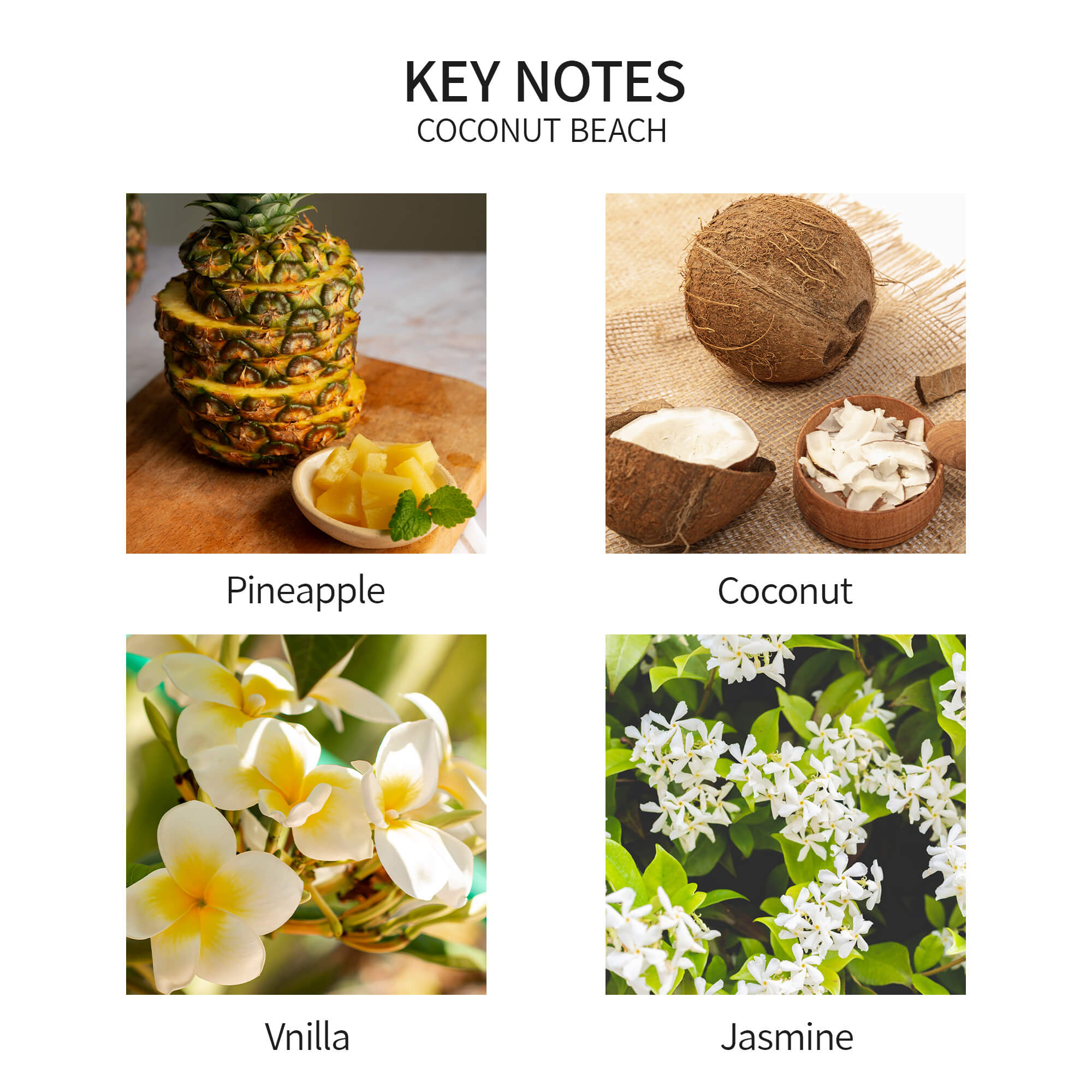 Airkeep Coconut Beach Reed Diffuser Set