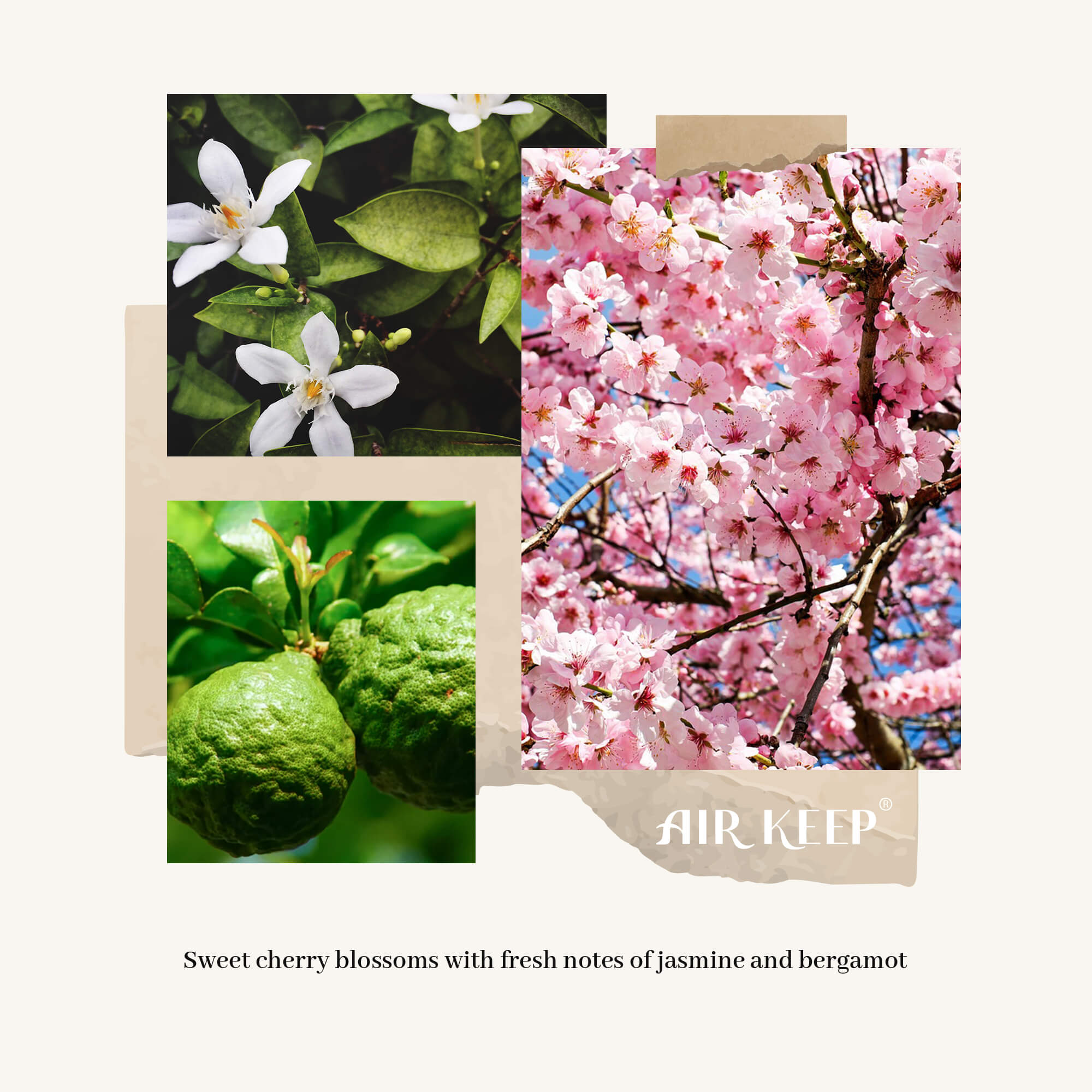 Airkeep Cherry Blossom Reed Diffuser