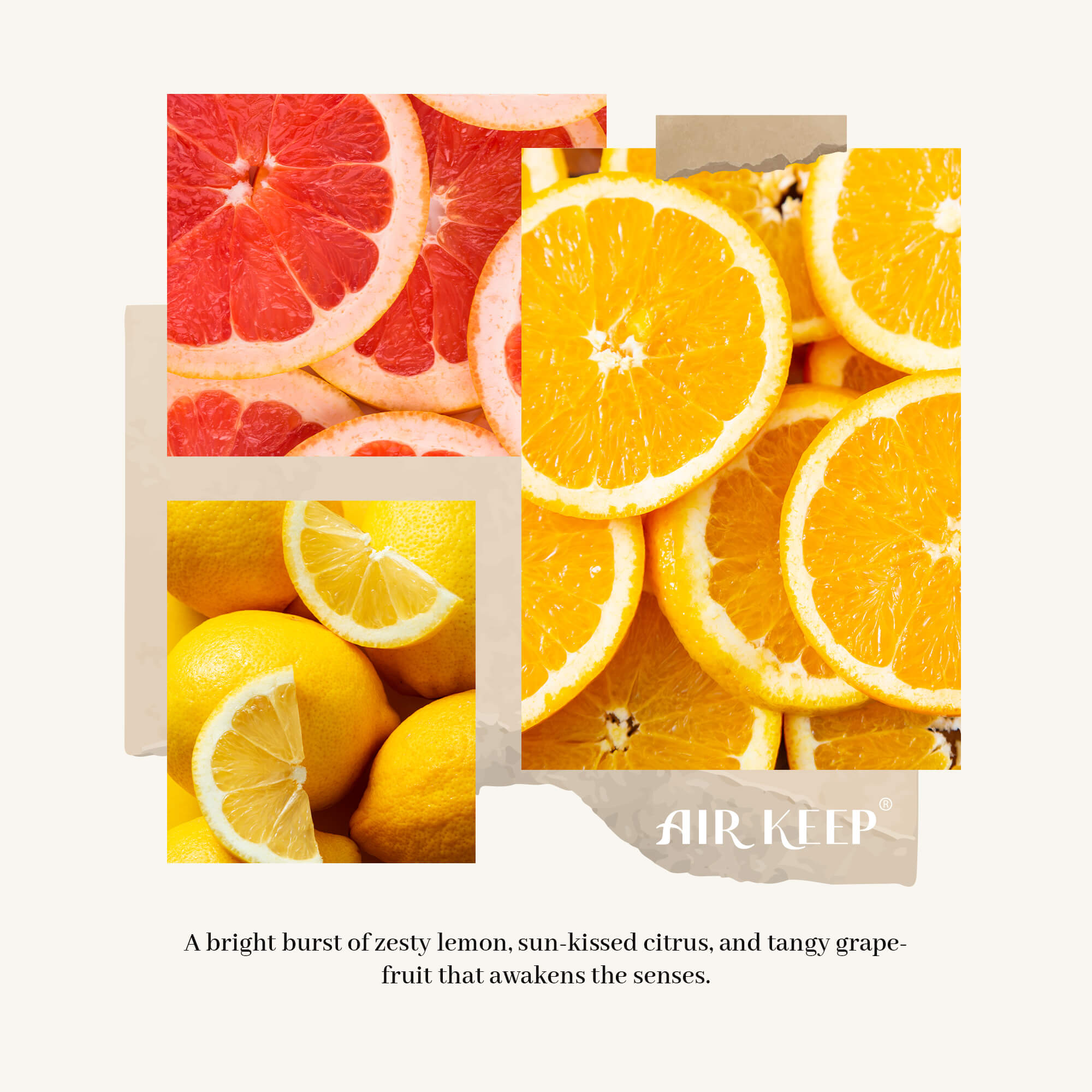 Airkeep Citrus Lemon Reed Diffuser