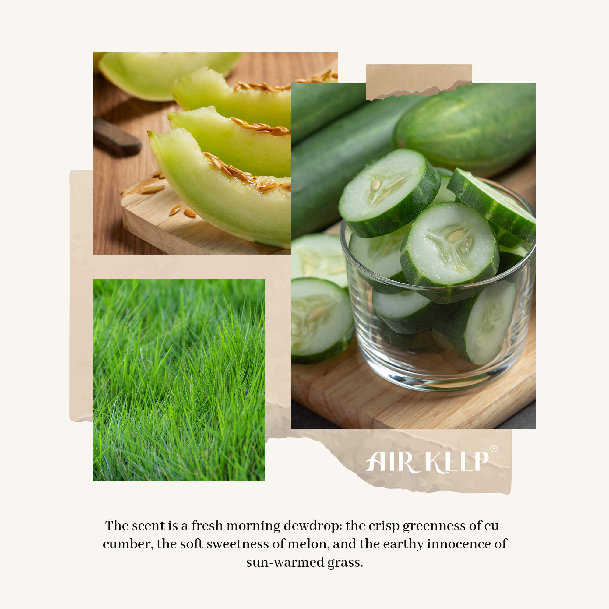 Airkeep Cucumber Melon  Reed Diffuser Set