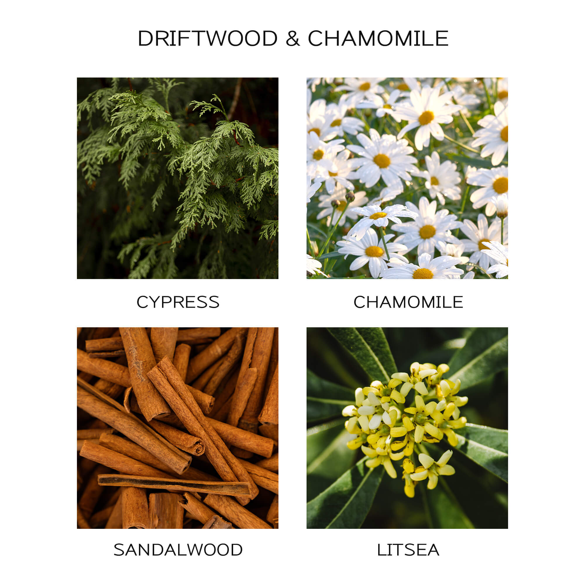 Airkeep DRIFTWOOD & CHAMOMILE  Reed Diffuser Oil Refill with Diffuser Sticks