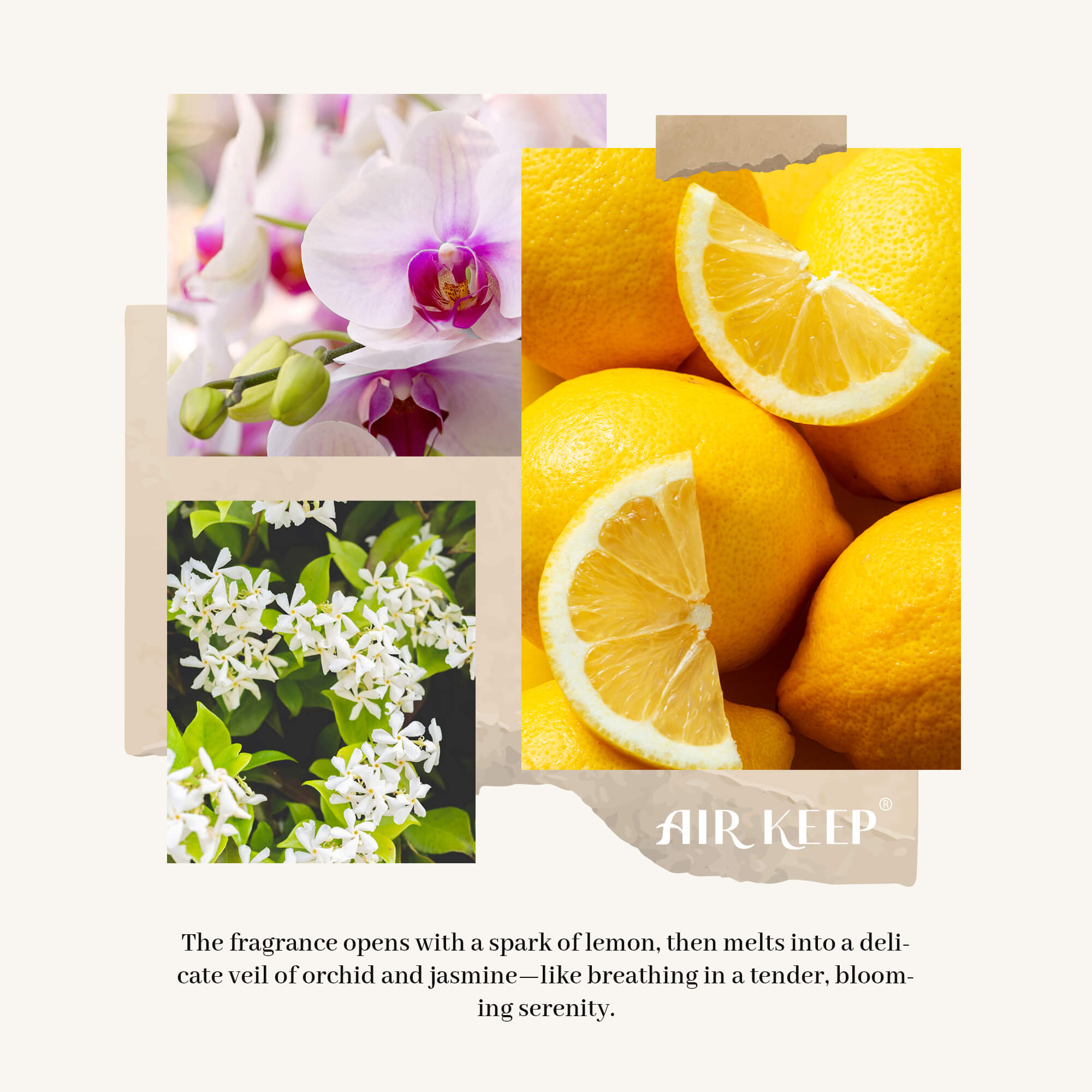 Airkeep Flower Shop Reed Diffuser Set