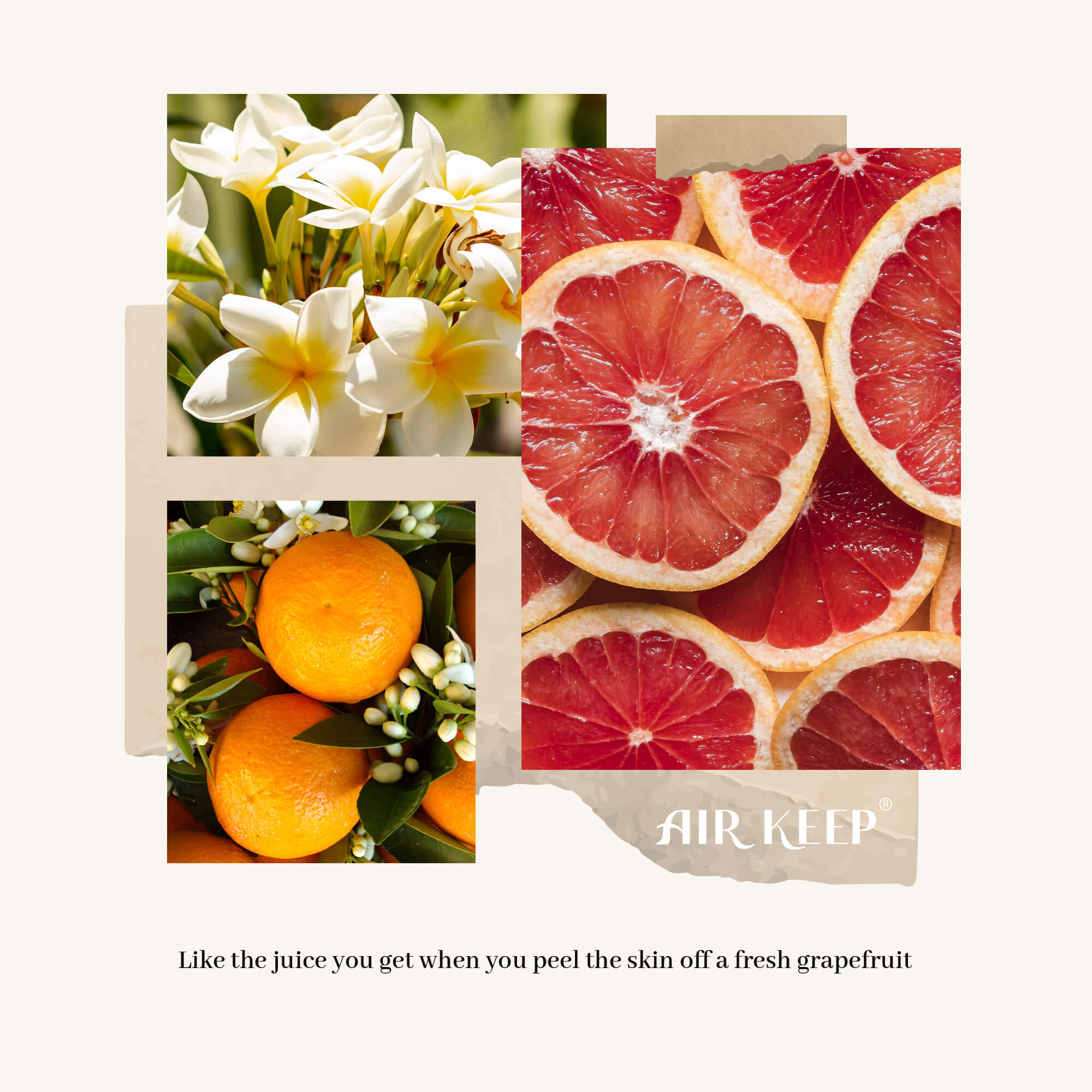 Airkeep Grapefruit Lemon  Reed Diffuser Set