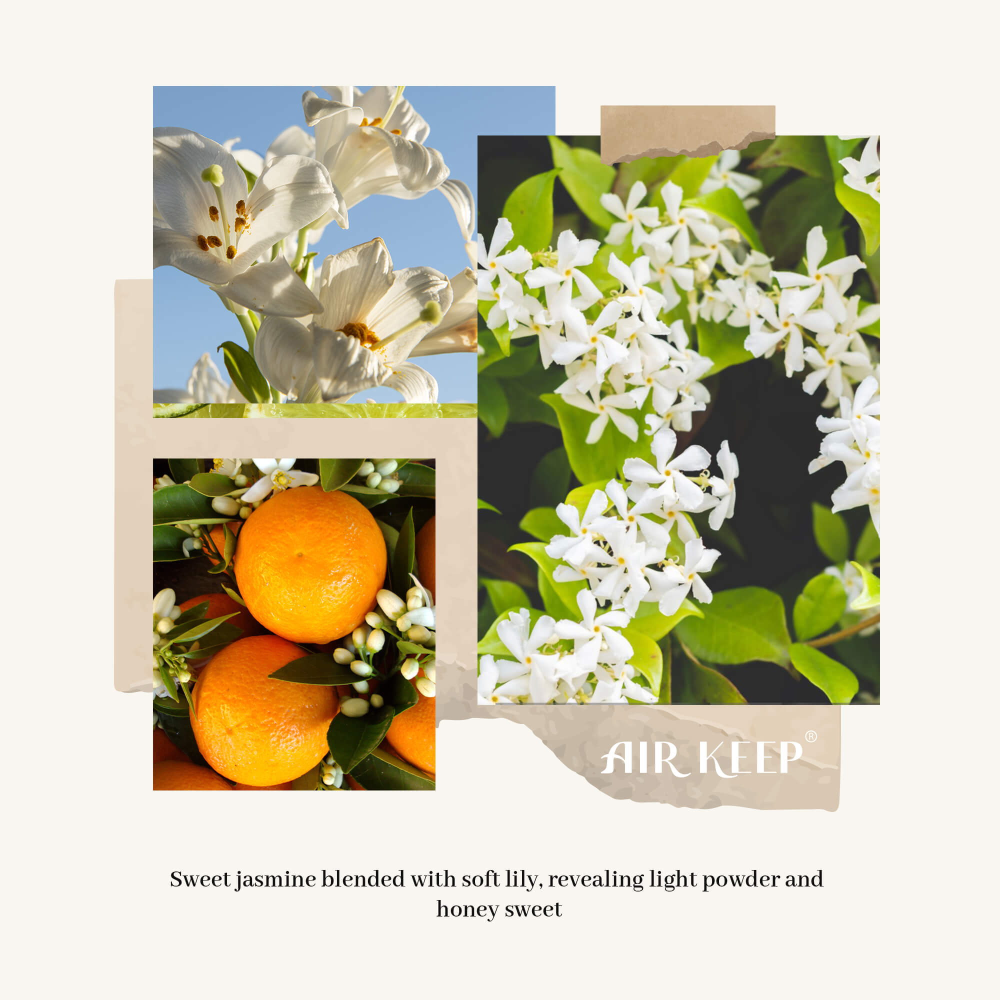 Airkeep Jasmine Lily Reed Diffuser Set