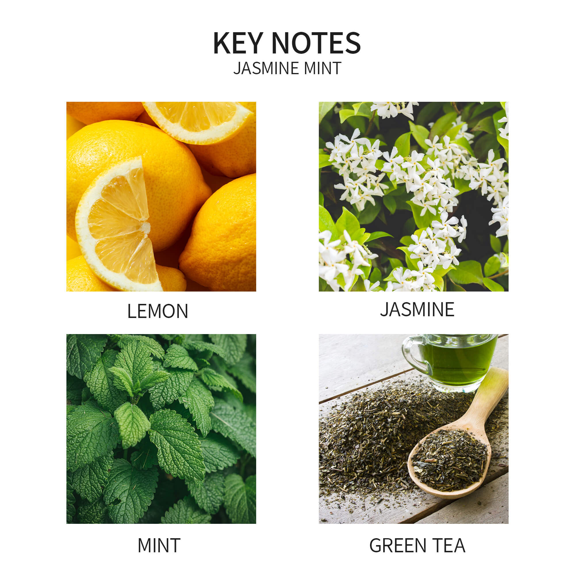 Airkeep Jasmine Mint Reed Diffuser Oil Refill with Diffuser Sticks