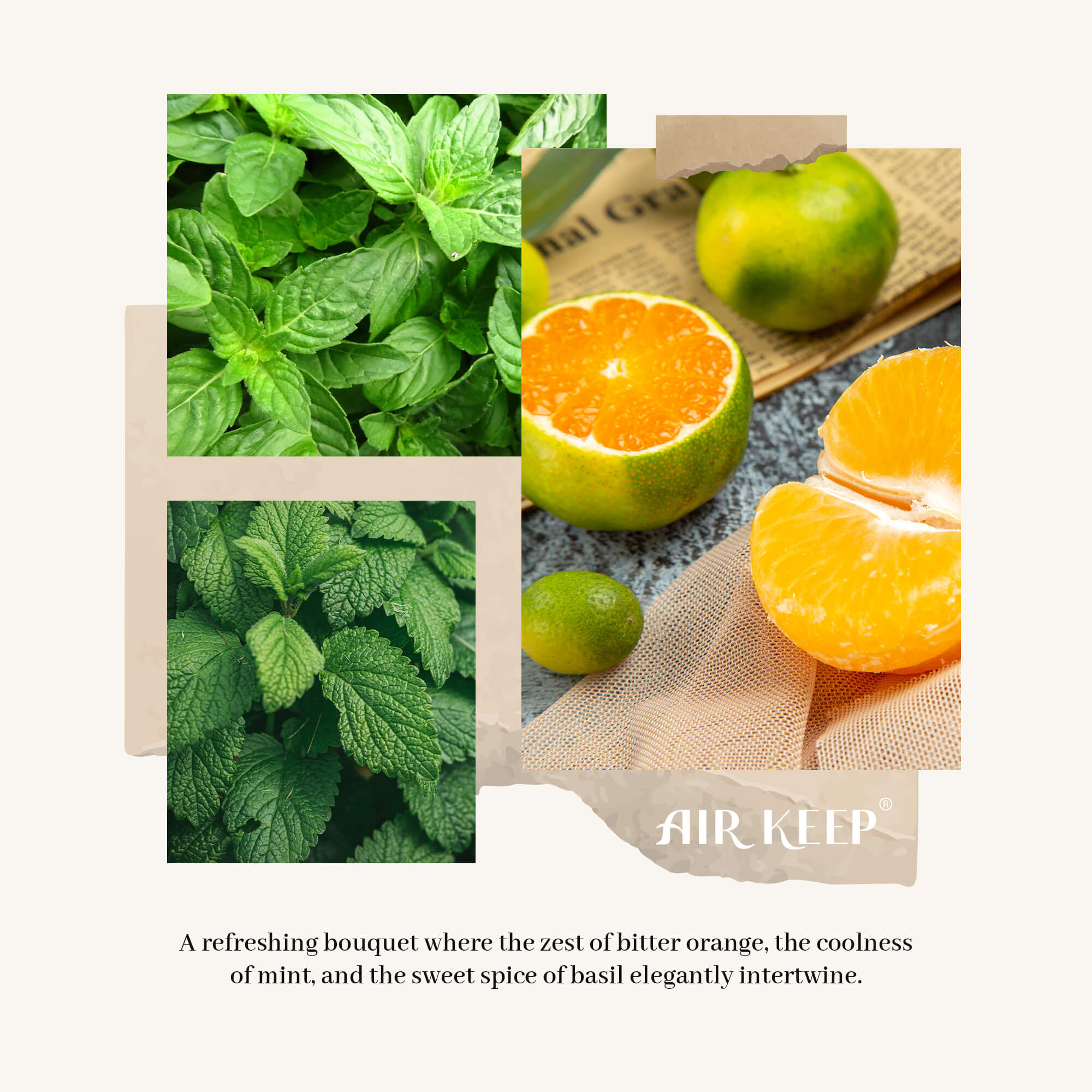 Airkeep Lime Basil Reed Diffuser Set