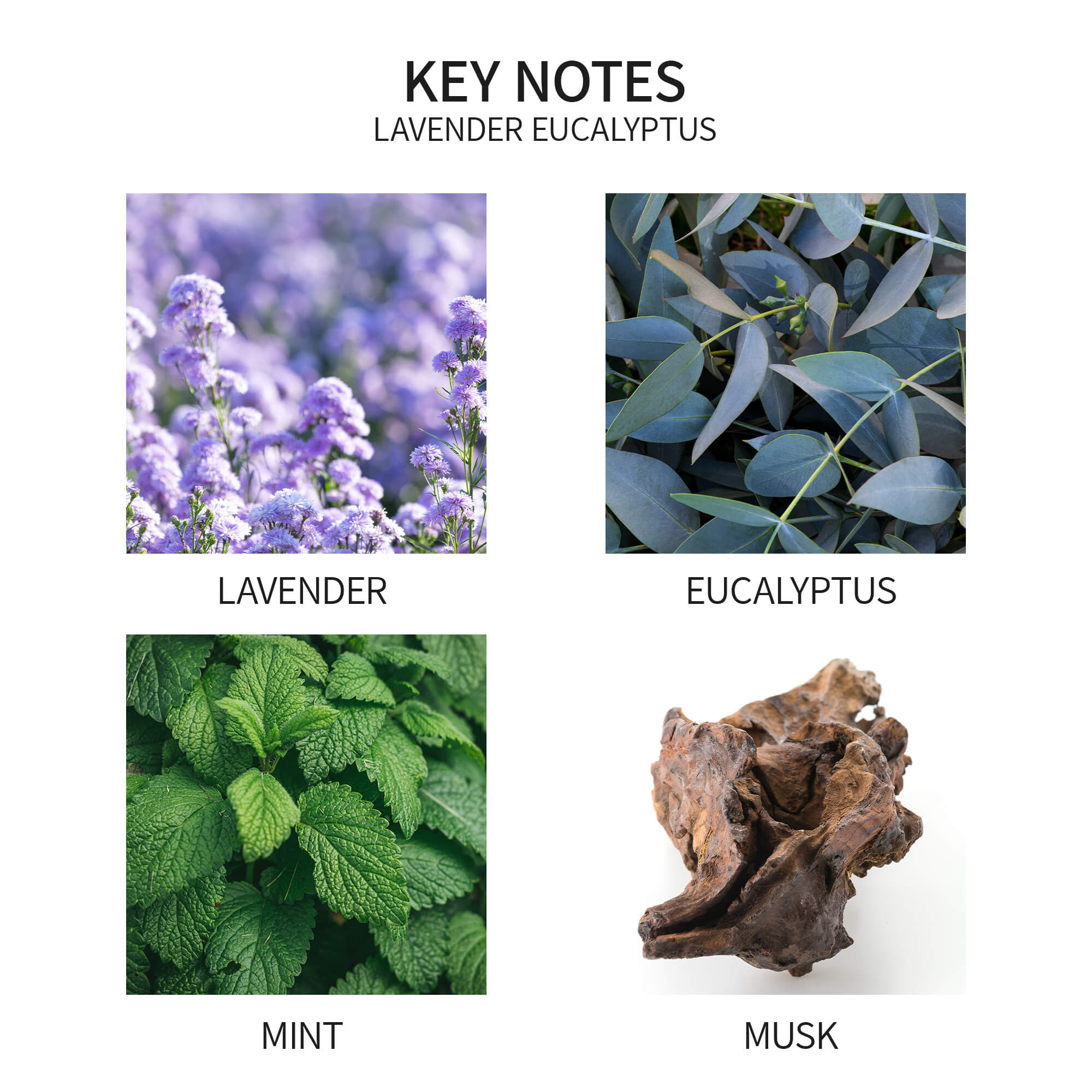 Airkeep Lavender Eucalyptus Reed Diffuser Oil Refill with Diffuser Sticks