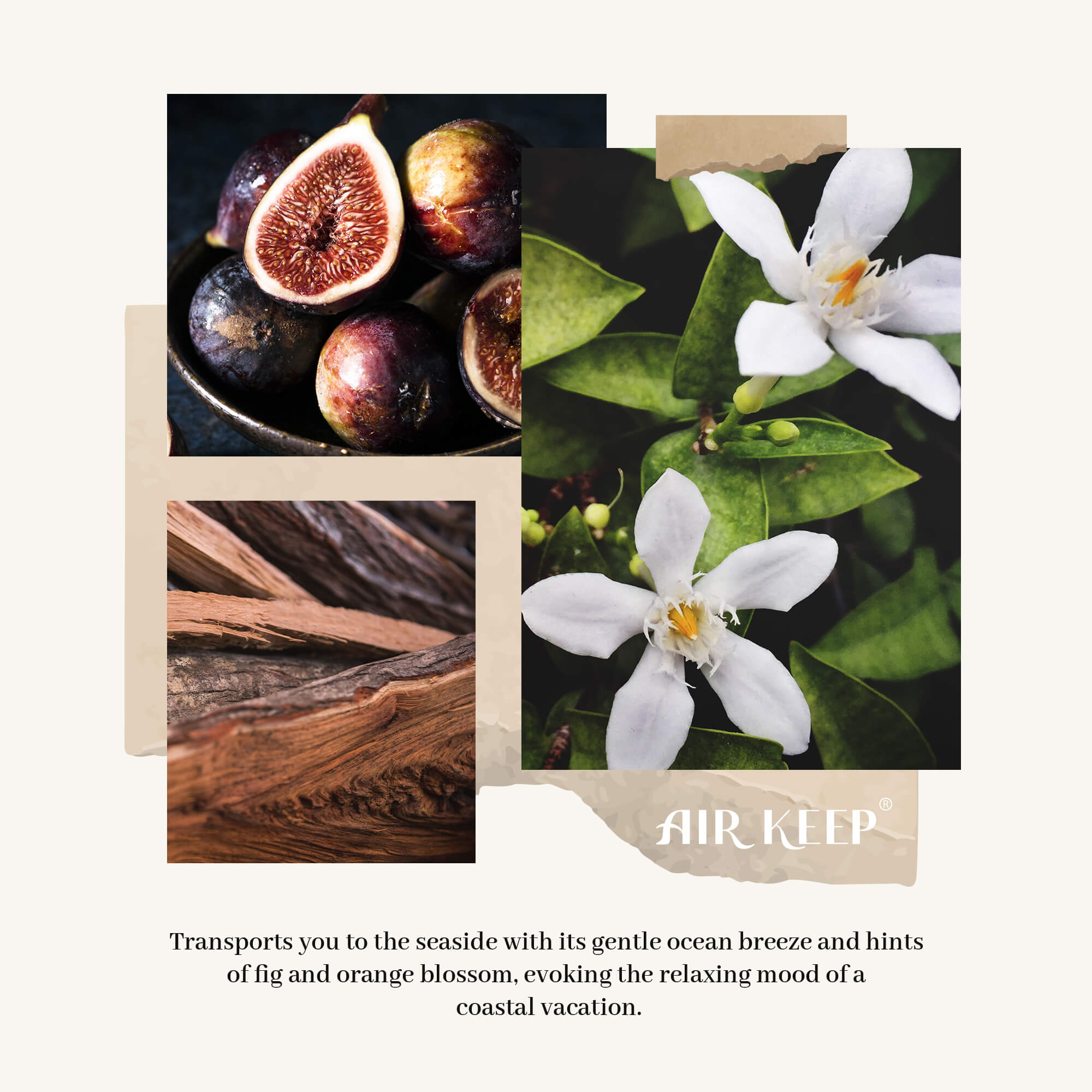 Airkeep Ocean Mist&Sea Salt Reed Diffuser Set