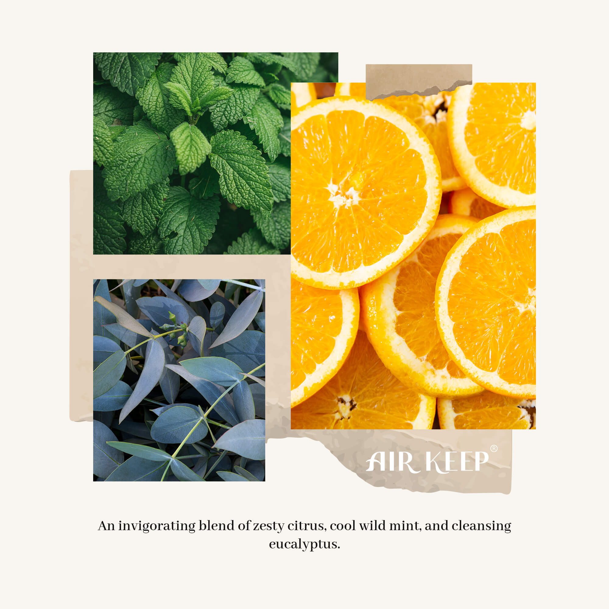 Airkeep Wild Mint&Eucalyptus Reed Diffuser Set