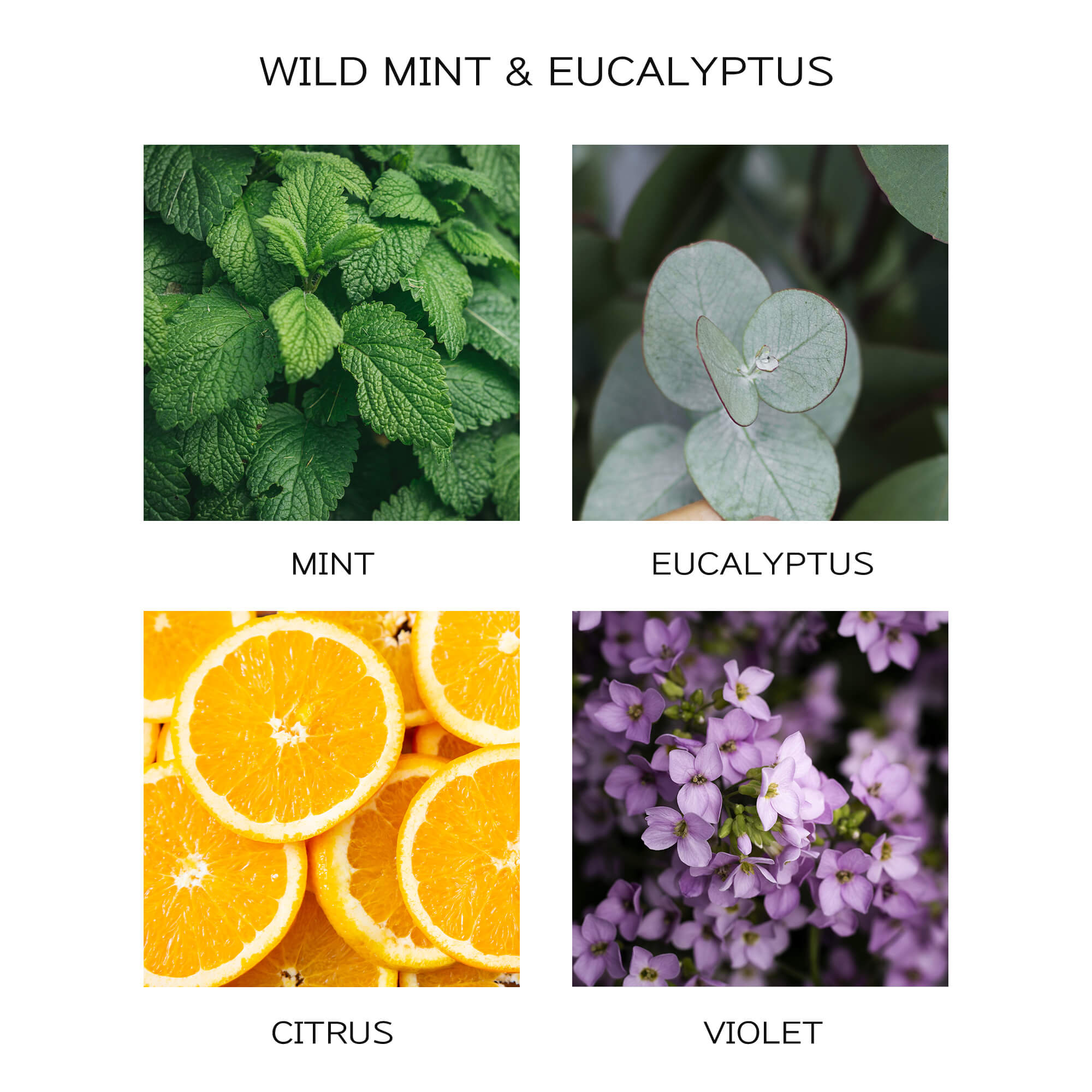 Airkeep Wild Mint&Eucalyptus Scented Oils Reed Diffuser Oil Refill with Diffuser Sticks