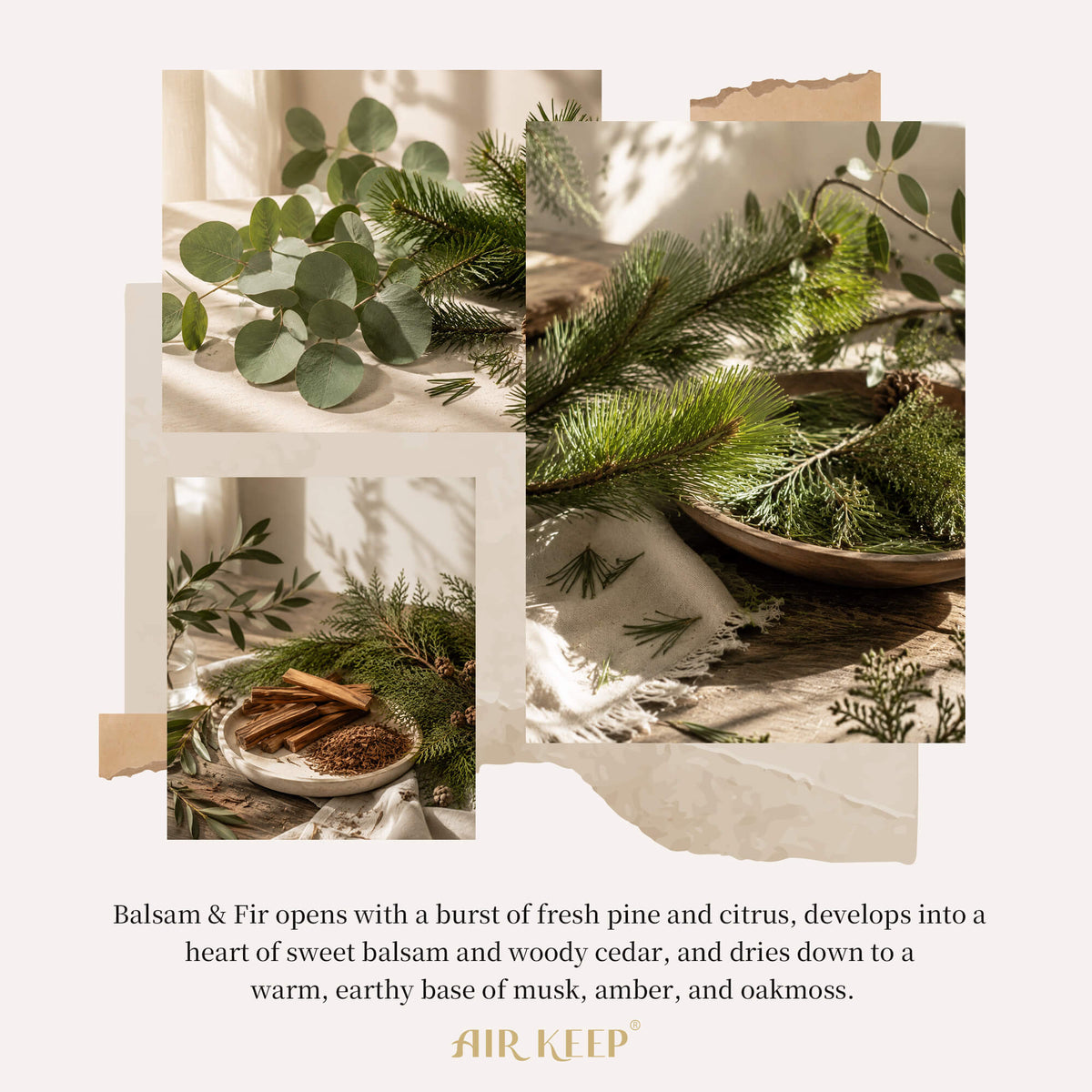 Airkeep Balsam&Fir Decorative Glass  200ml Reed Diffuser