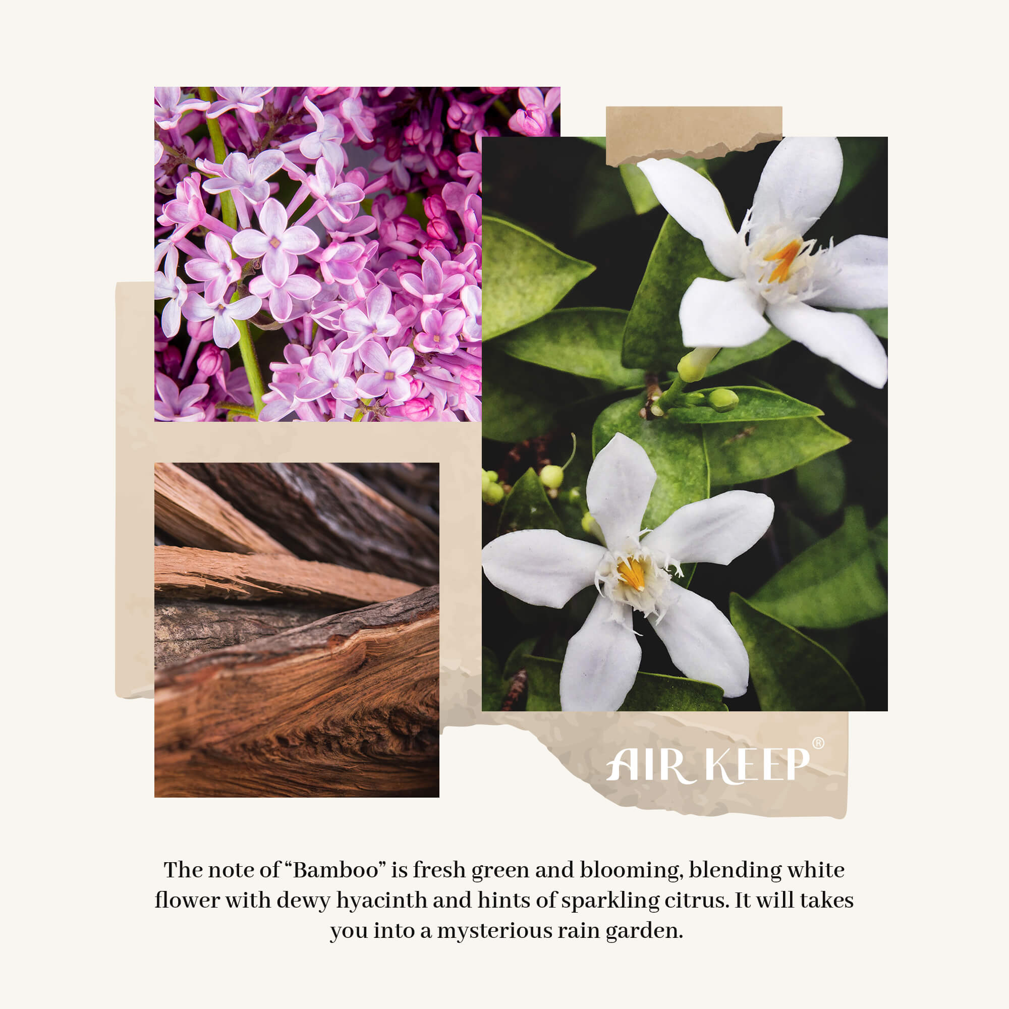 Airkeep Bamboo Reed Diffuser Set